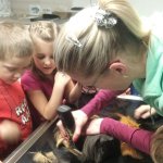 phoca_thumb_m_agvet 6 Fotogalerie